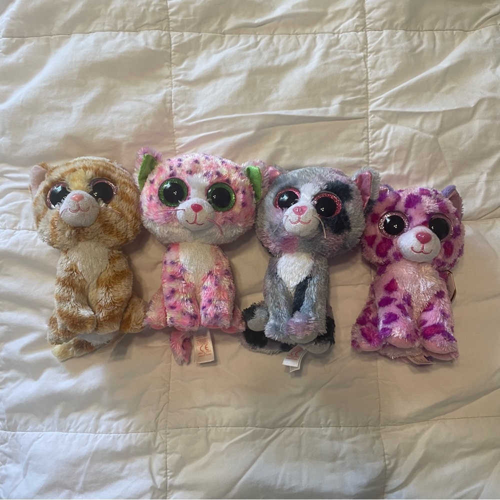 Ty Beanie Boos Cat Collection - Lindi, Glamour, Tabitha, and Sophie